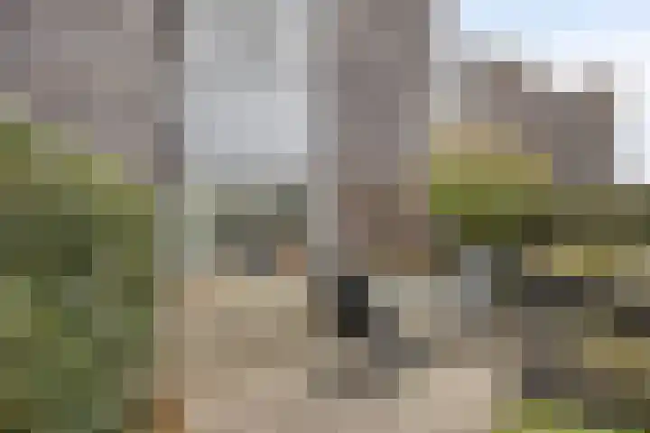 Kuiperstraat 2 D Oisterwijk thumbnail 18