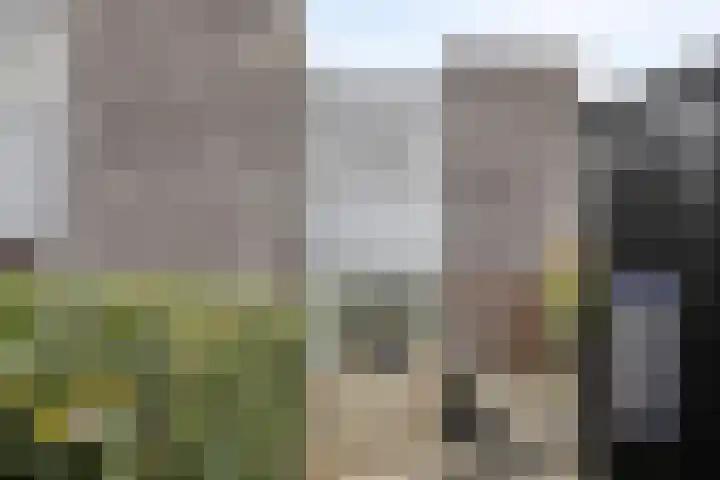 Kuiperstraat 2 D Oisterwijk thumbnail 19