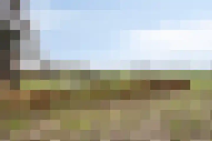 Kuiperstraat 2 D Oisterwijk thumbnail 20