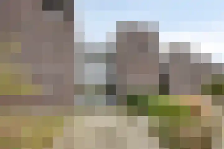 Kuiperstraat 2 D Oisterwijk thumbnail 22