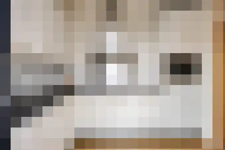 Kuiperstraat 2 D Oisterwijk thumbnail 7