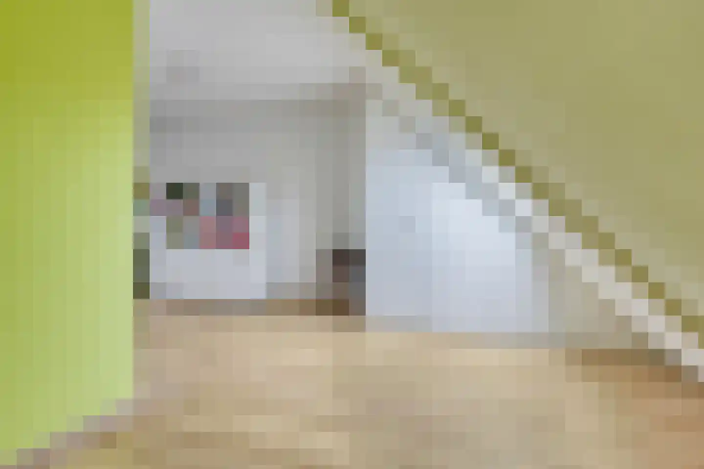 Kuiperstraat 27 Lieshout thumbnail 38
