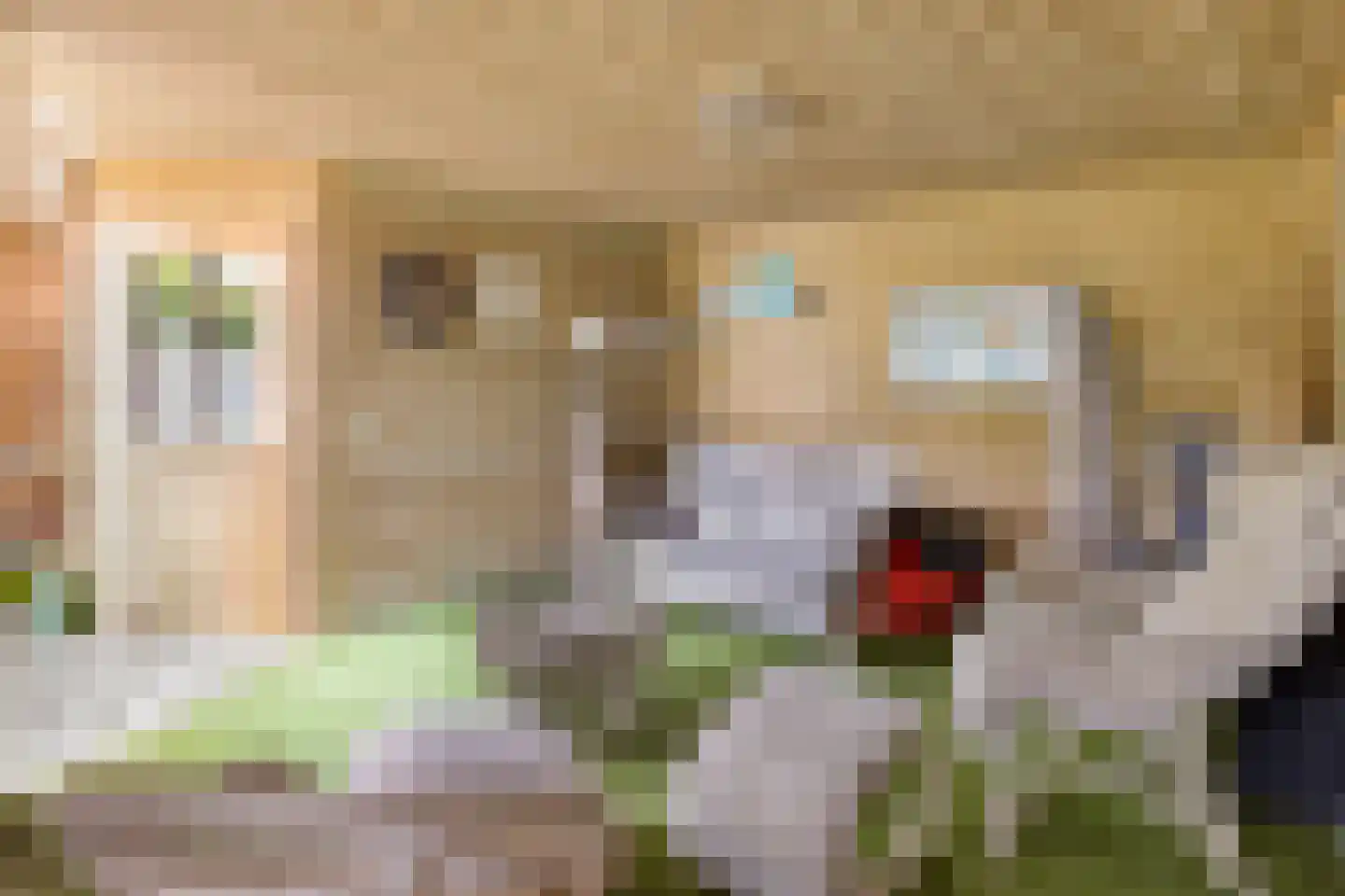 Kuiperstraat 27 Lieshout thumbnail 48