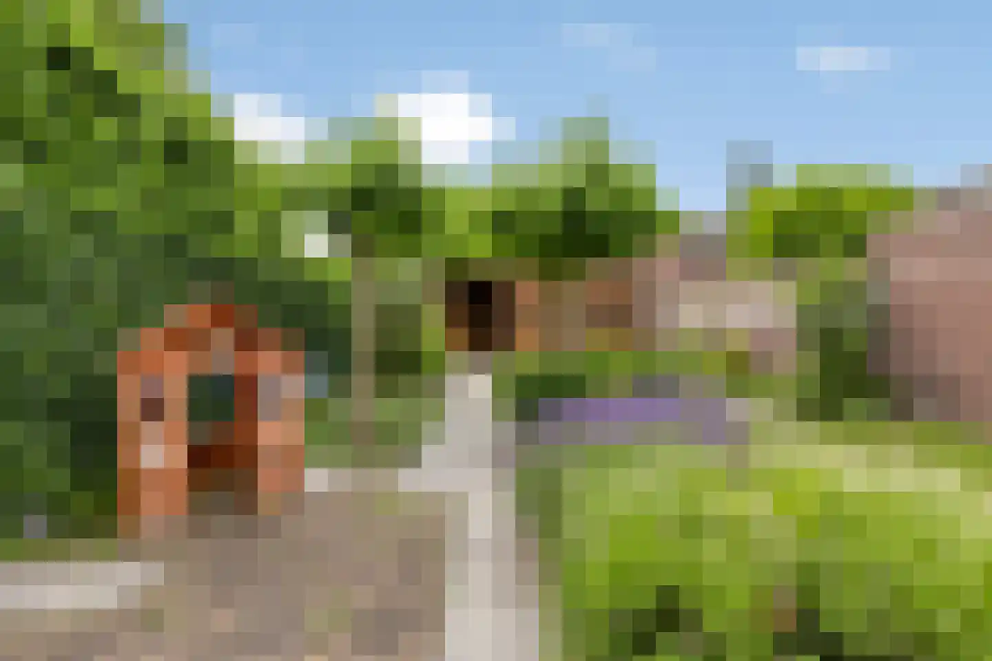 Kuiperstraat 27 Lieshout thumbnail 6