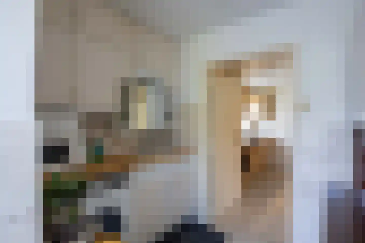 Kuiperstraat 3 Venray thumbnail 20