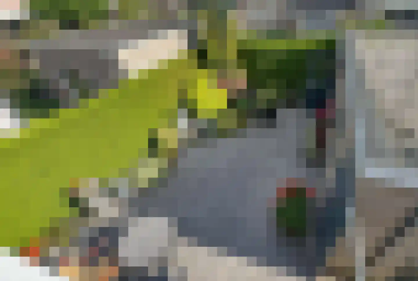 Kuiperstraat 3 Venray thumbnail 4