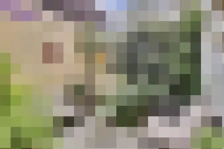 Kuiperstraat 35 Gouda thumbnail 28