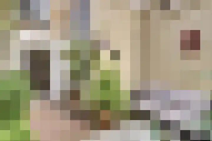 Kuiperstraat 35 Gouda thumbnail 29