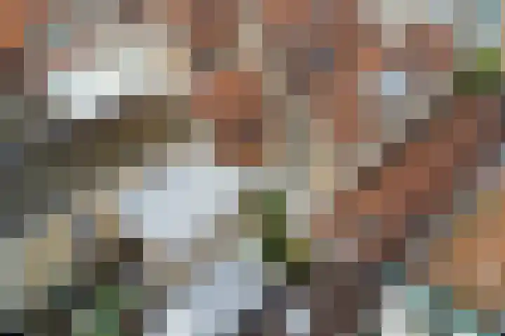 Kuiperstraat 35 Gouda thumbnail 37