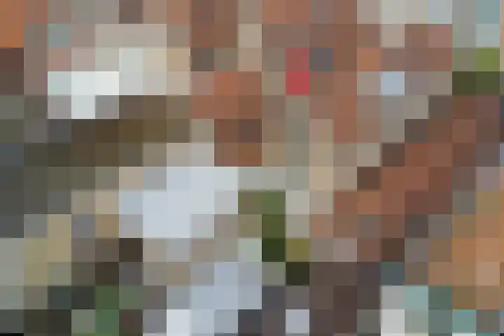 Kuiperstraat 35 Gouda thumbnail 38