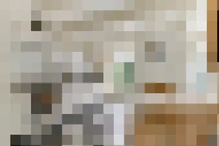 Kuiperstraat 35 Gouda thumbnail 4