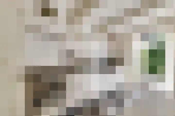 Kuiperstraat 35 Gouda thumbnail 5