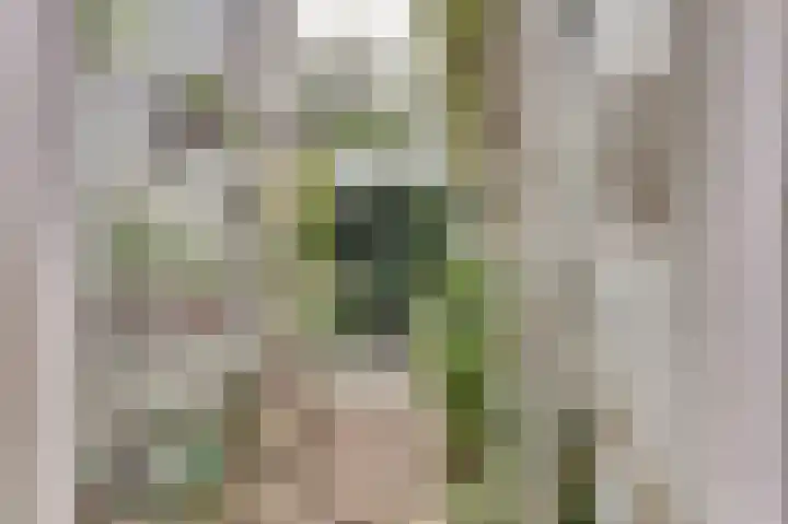 Kuiperstraat 35 Gouda thumbnail 6