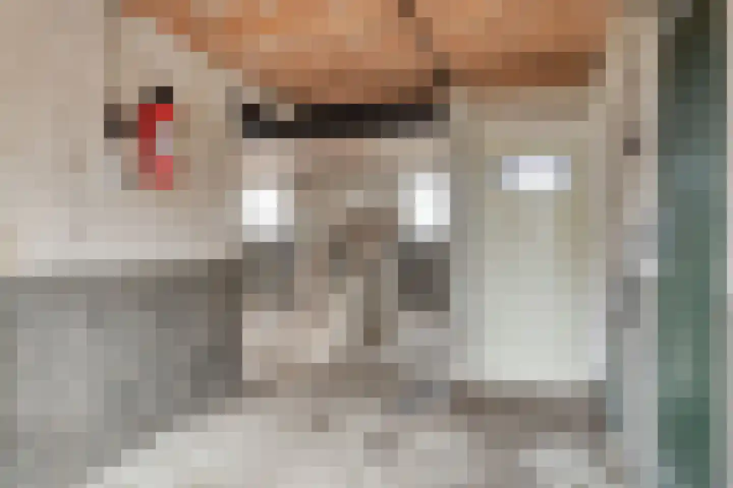 Kuiperstraat 4 Beers NB thumbnail 16