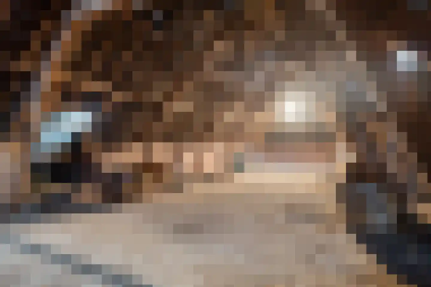 Kuiperstraat 4 Beers NB thumbnail 27