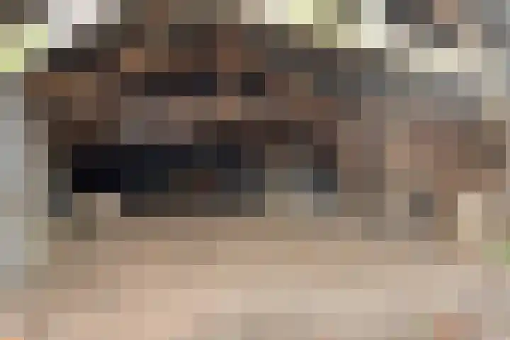 Kuiperstraat 4 Beers NB thumbnail 39