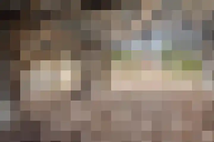 Kuiperstraat 4 Beers NB thumbnail 40