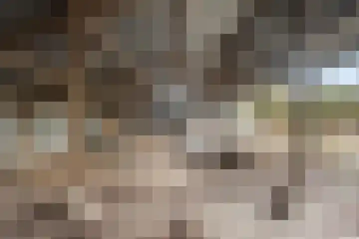 Kuiperstraat 4 Beers NB thumbnail 42