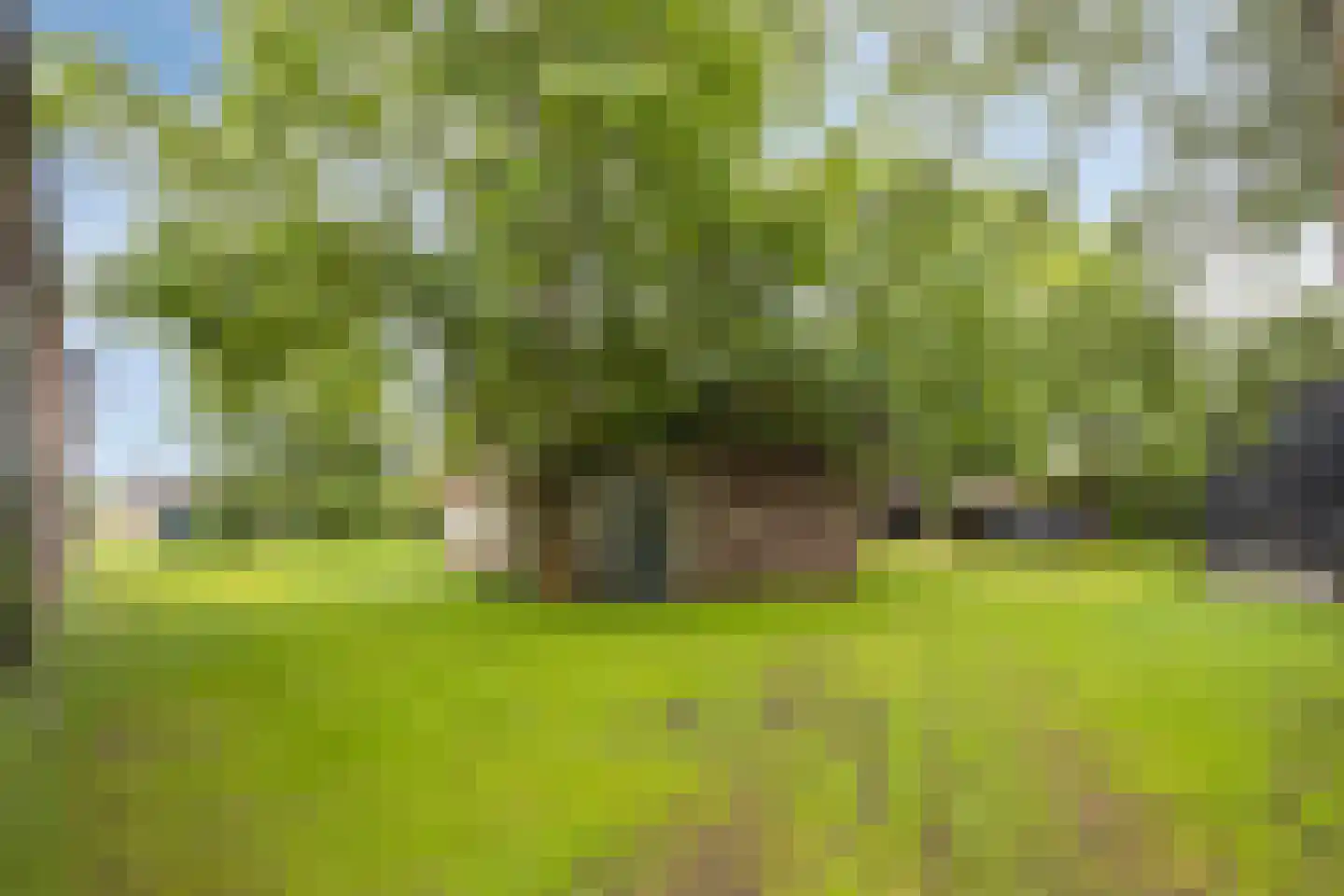 Kuiperstraat 4 Beers NB thumbnail 43
