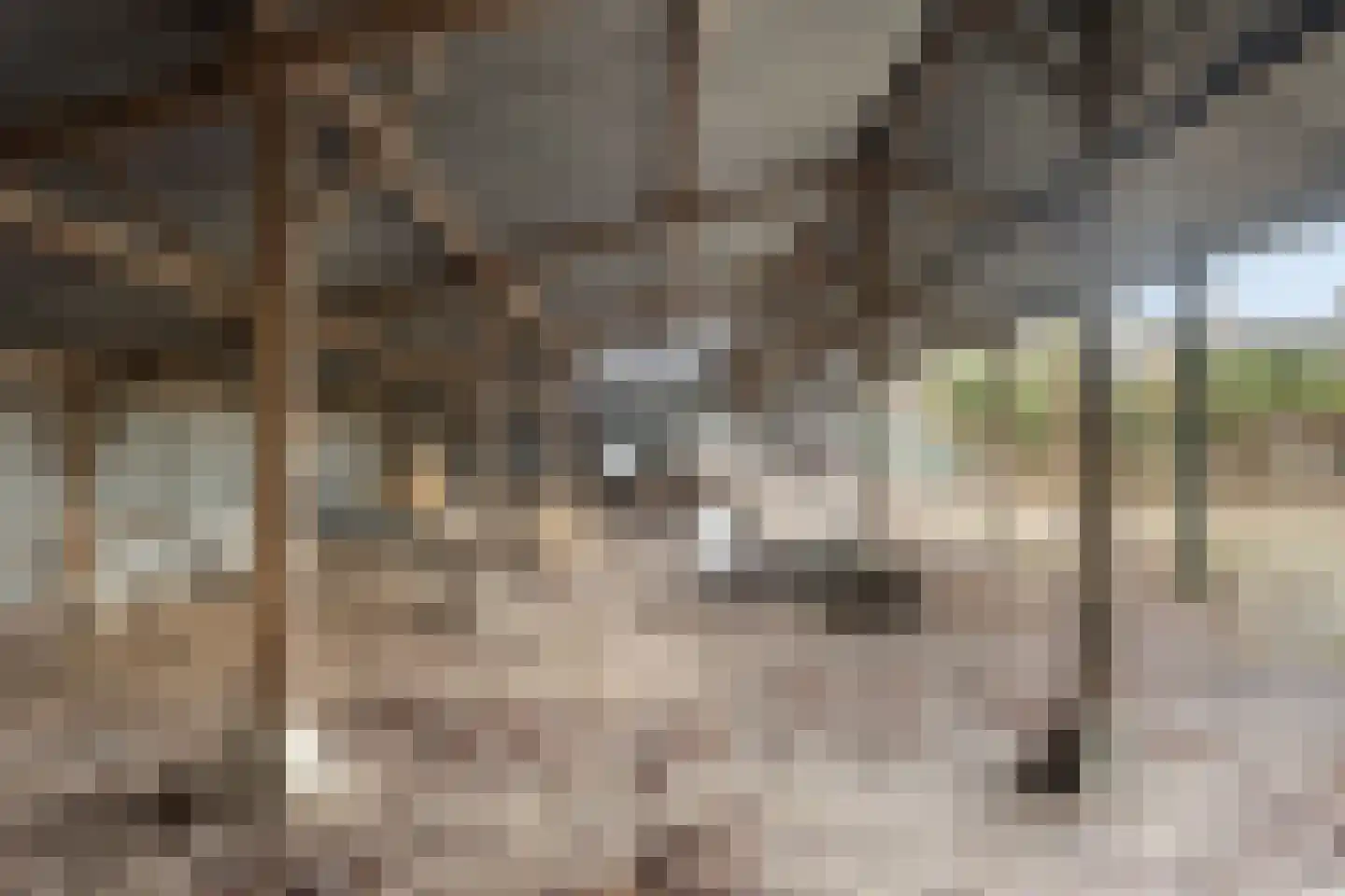 Kuiperstraat 4 Beers NB thumbnail 47