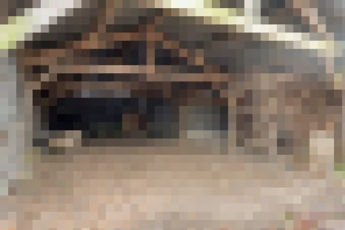 Kuiperstraat 4 Beers NB thumbnail 47