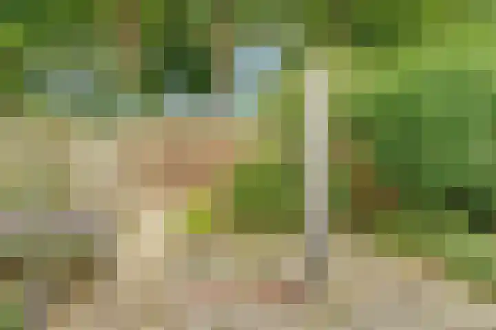 Kuiperstraat 40 Duiven thumbnail 30