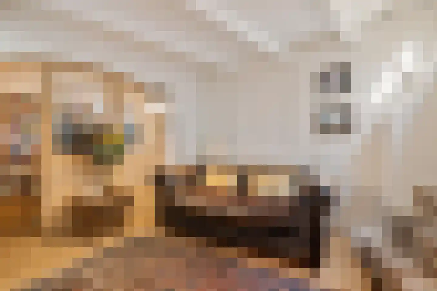 Kuiperstraat 54 Zutphen thumbnail 10