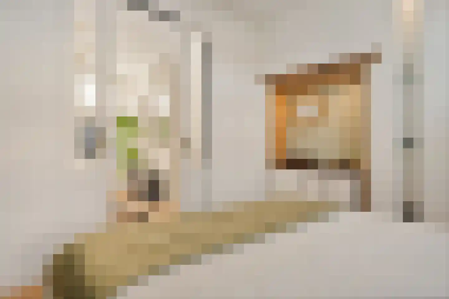 Kuiperstraat 54 Zutphen thumbnail 26