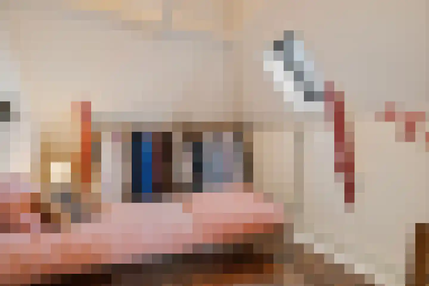 Kuiperstraat 54 Zutphen thumbnail 38