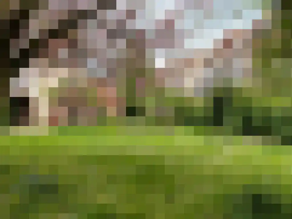 Kuiperstraat 54 Zutphen thumbnail 43