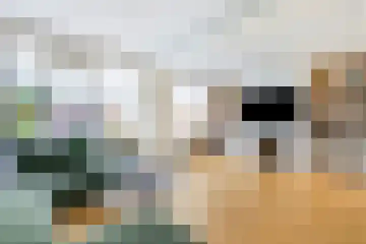 Kuiperstraat 60 Duiven thumbnail 13