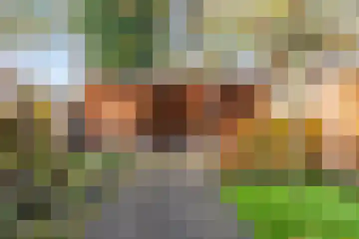 Kuiperstraat 60 Duiven thumbnail 25