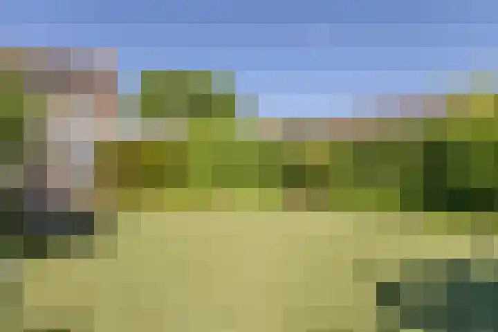 Kuiperstraat 7 Beugen thumbnail 33