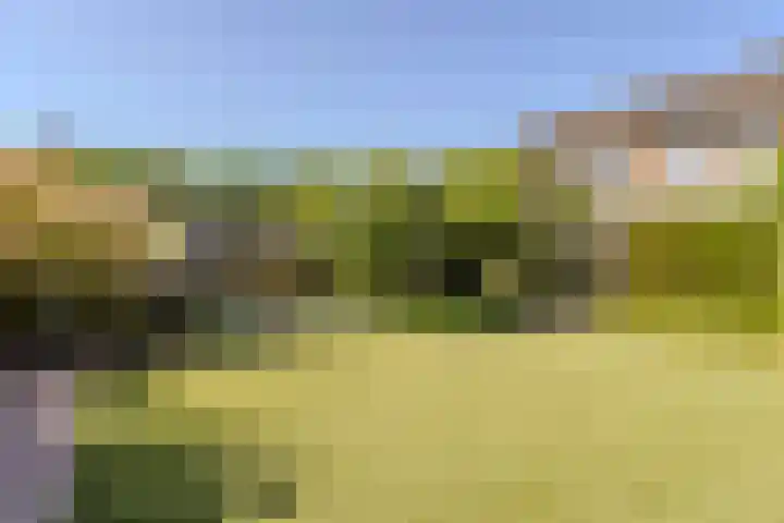Kuiperstraat 7 Beugen thumbnail 35