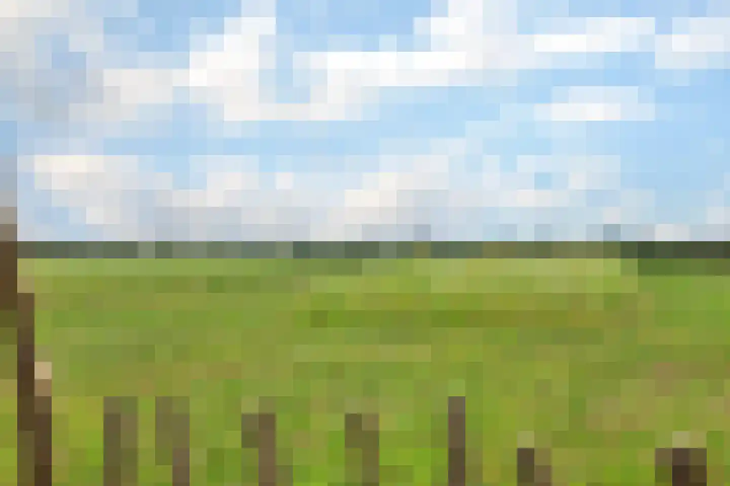 Kuipersveer 25 Heinenoord thumbnail 10