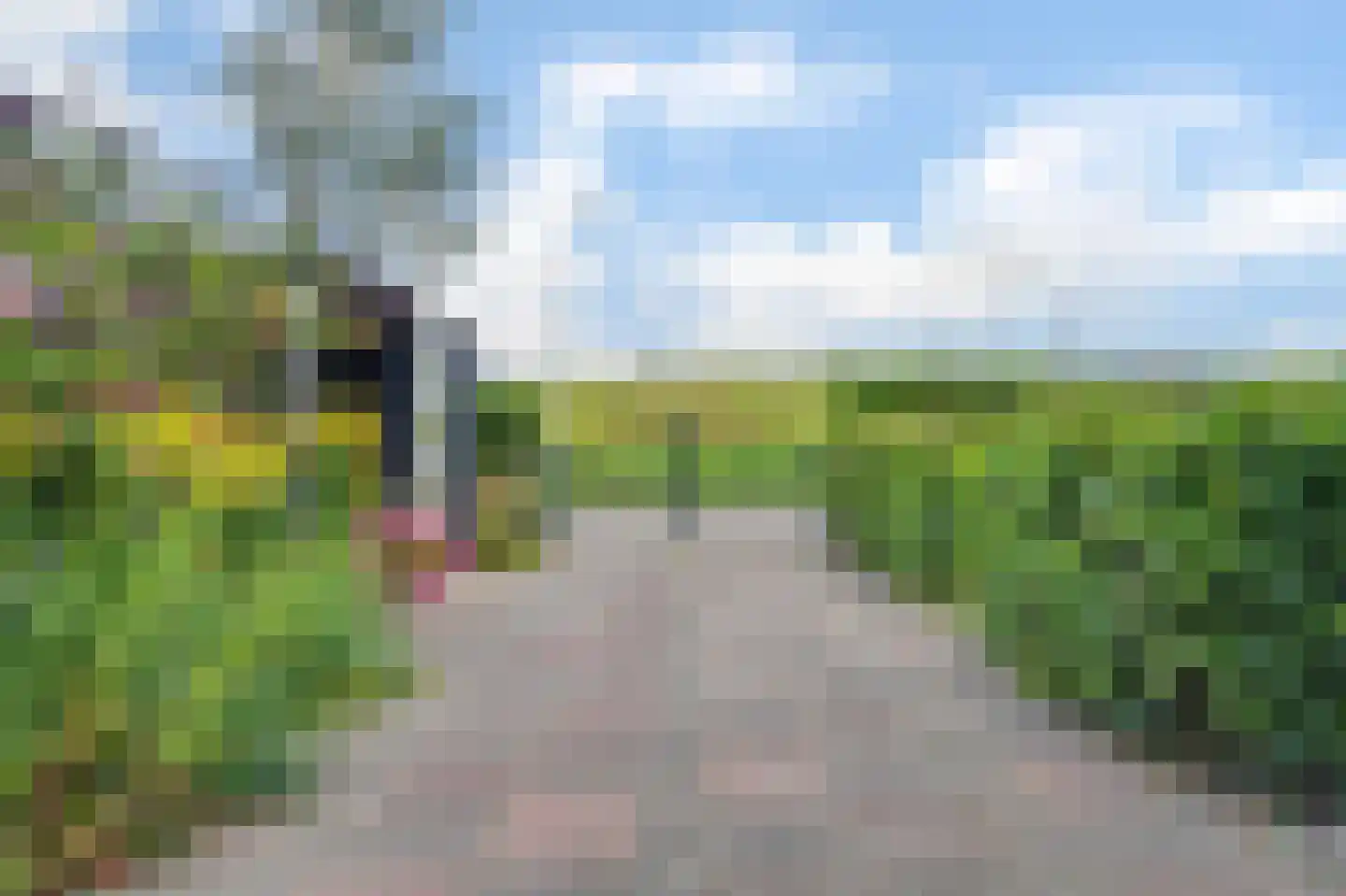 Kuipersveer 25 Heinenoord thumbnail 12