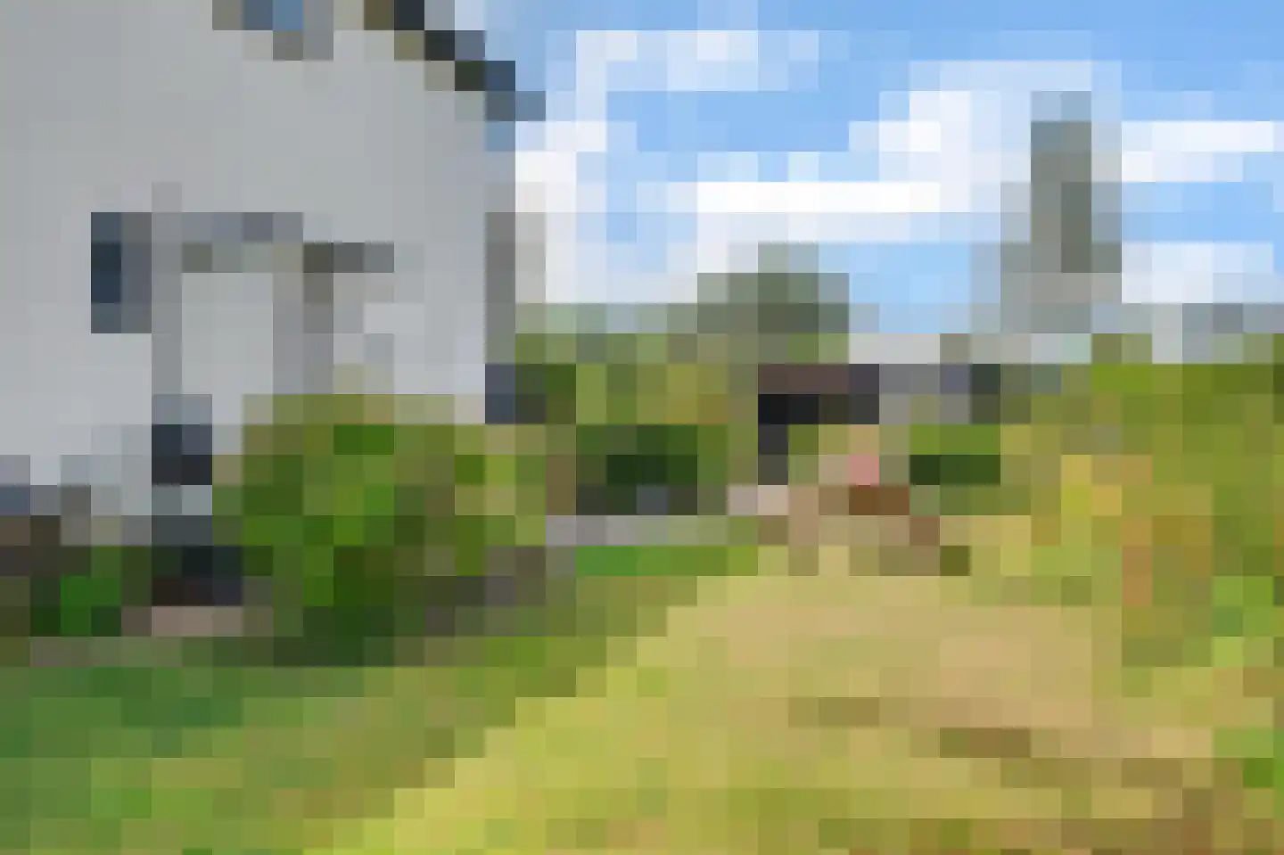 Kuipersveer 25 Heinenoord thumbnail 13
