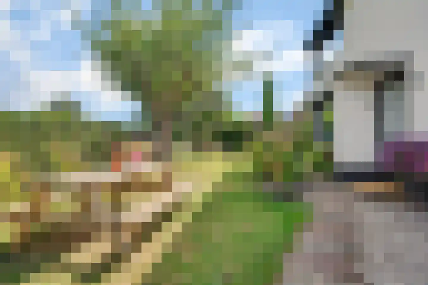 Kuipersveer 25 Heinenoord thumbnail 15