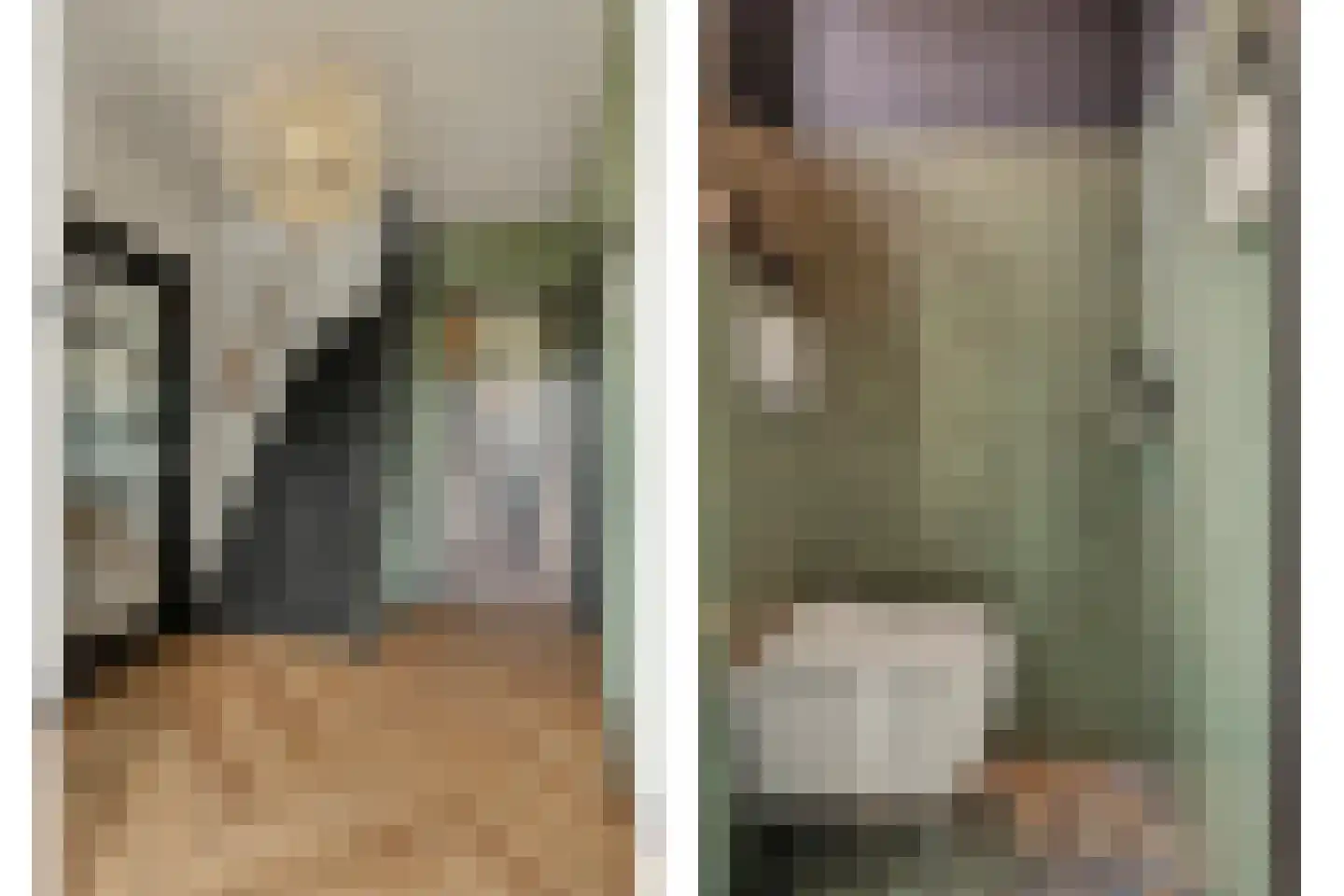 Kuipersveer 25 Heinenoord thumbnail 17