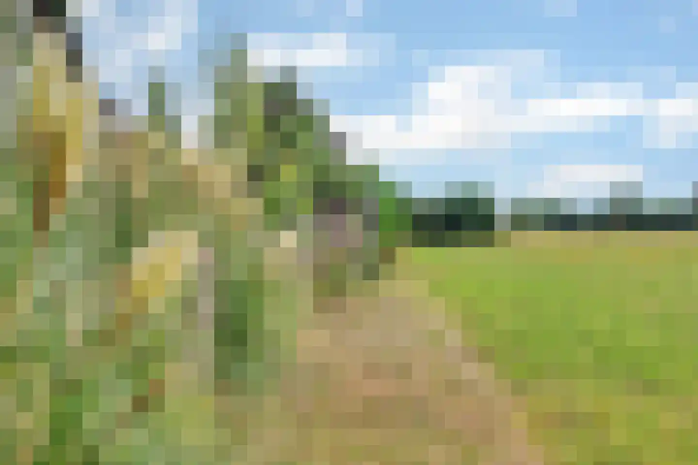 Kuipersveer 25 Heinenoord thumbnail 57