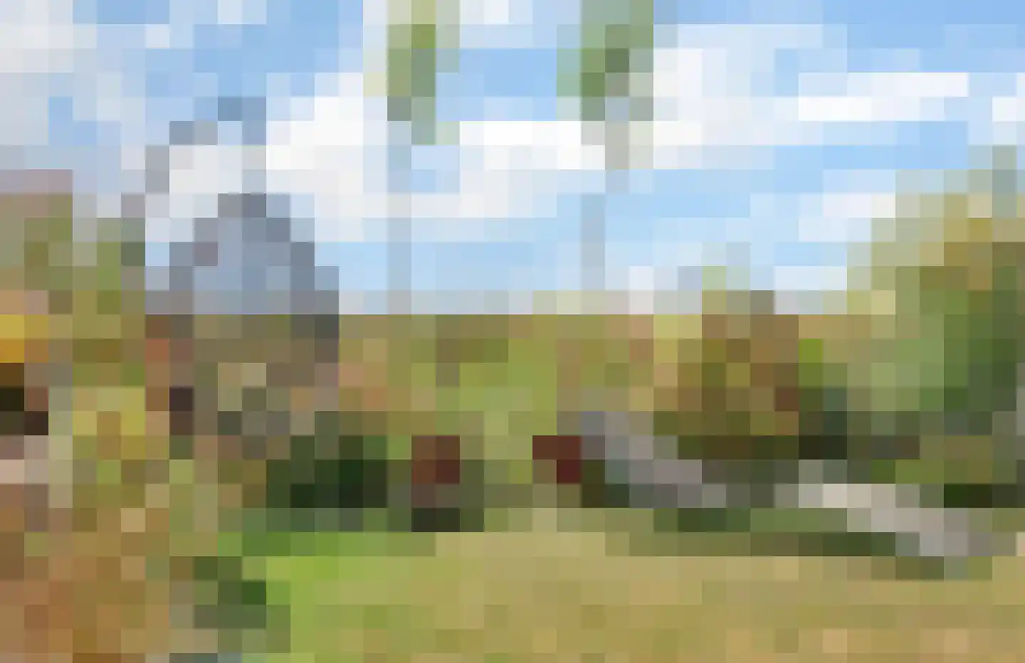 Kuipersveer 25 Heinenoord thumbnail 8