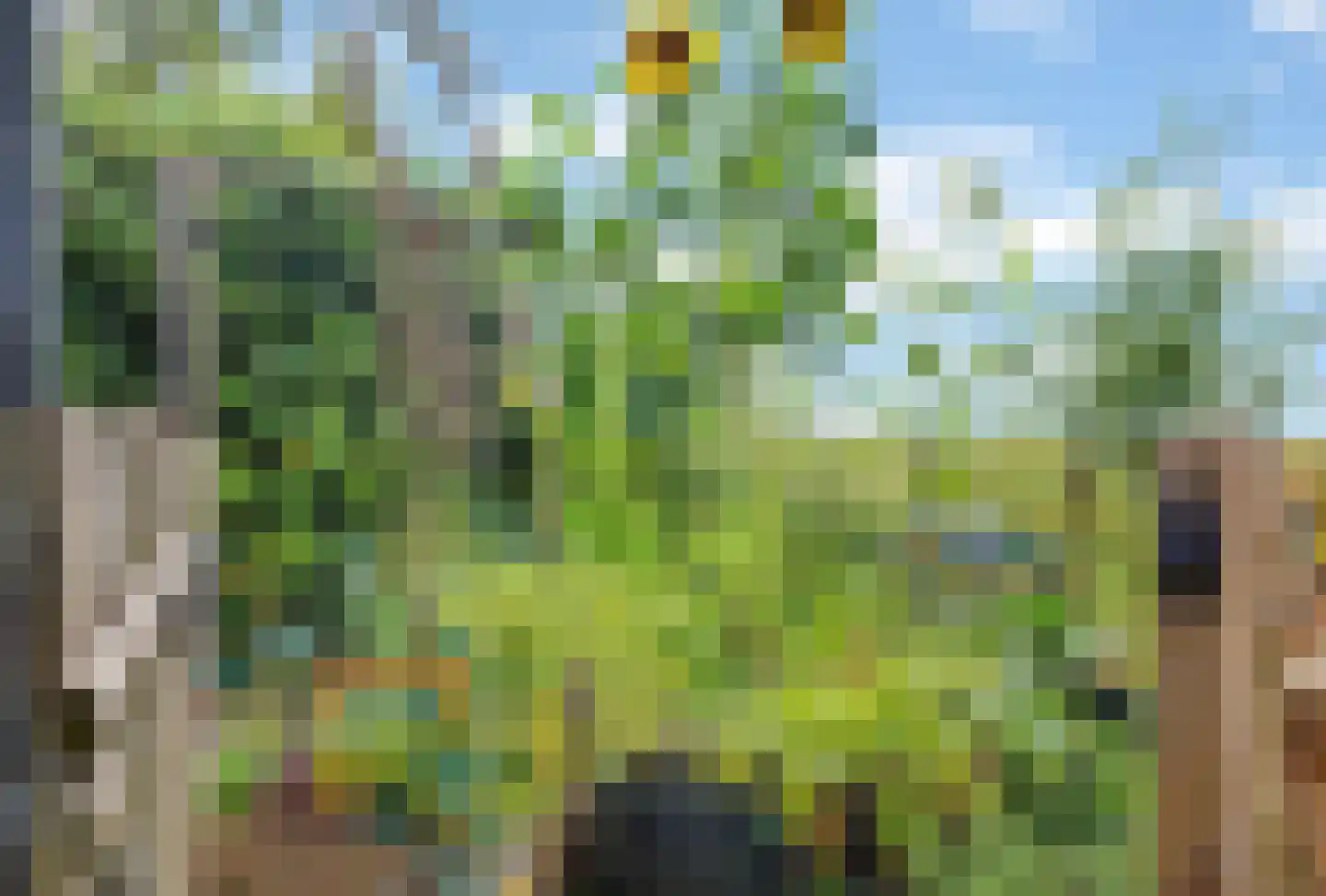 Kuipersveer 25 Heinenoord thumbnail 9