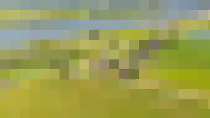 Kuipersveer 31 Heinenoord