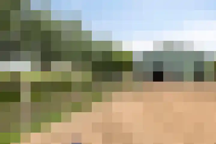 Kuipersveer 31 Heinenoord thumbnail 16