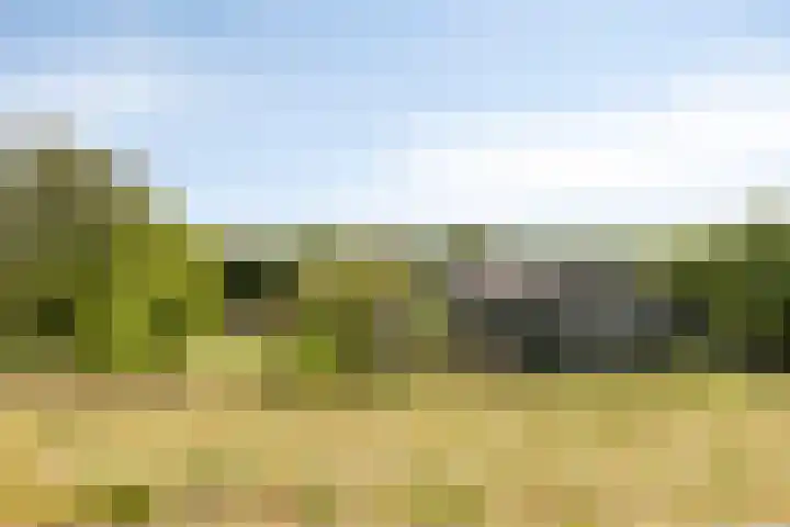 Kuipersveer 31 Heinenoord thumbnail 20