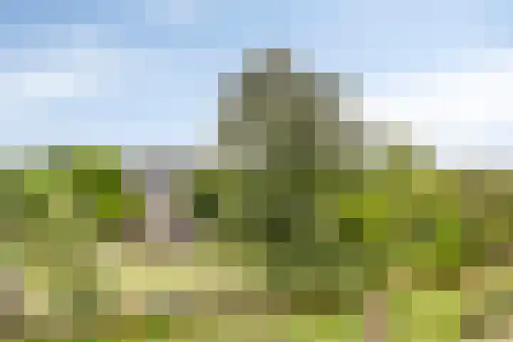 Kuipersveer 31 Heinenoord thumbnail 21