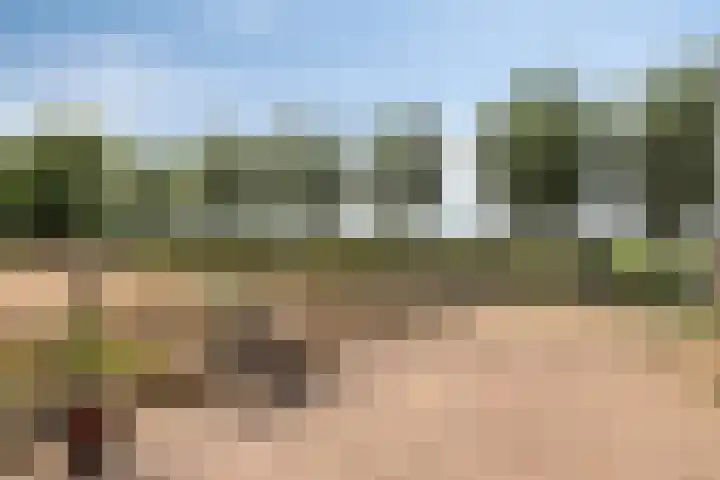 Kuipersveer 31 Heinenoord thumbnail 23