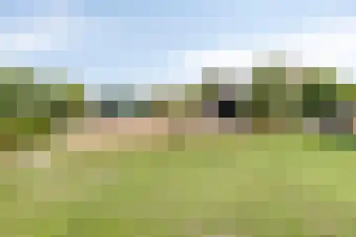 Kuipersveer 31 Heinenoord thumbnail 24