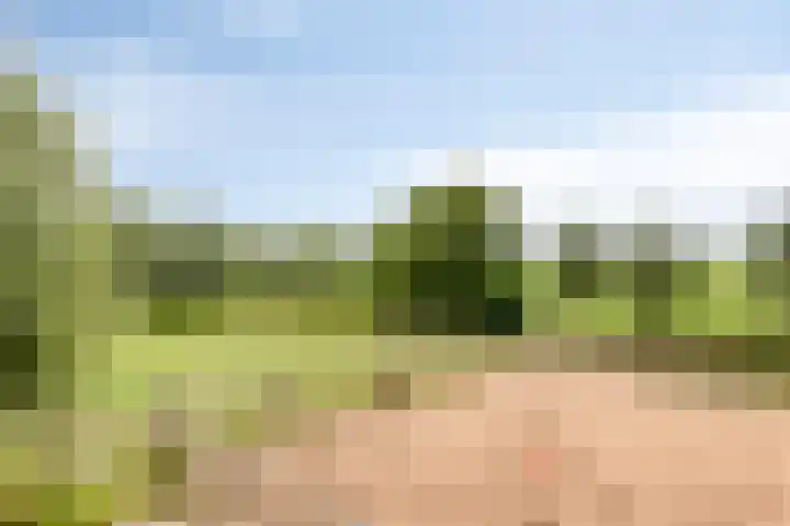 Kuipersveer 31 Heinenoord thumbnail 25