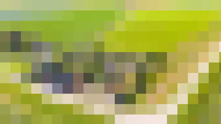 Kuipersveer 31 Heinenoord thumbnail 26